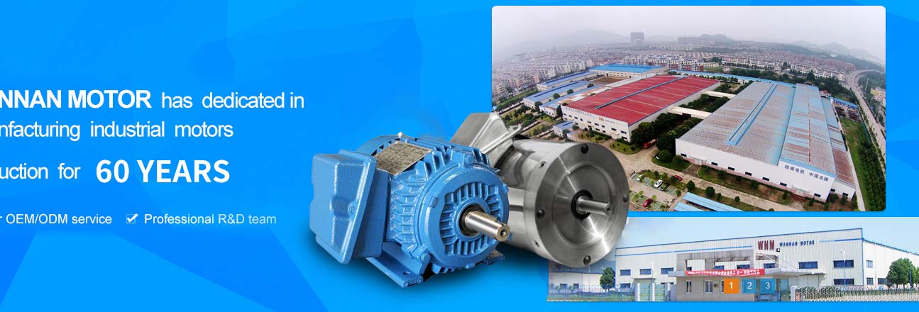 Anhui Wannan Electric Machine Co., Ltd.