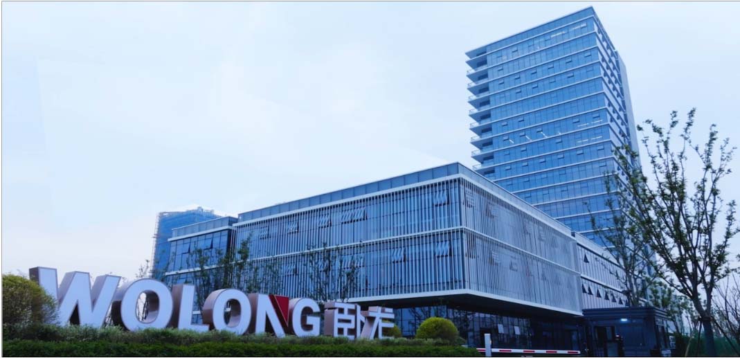 Wolong Electric Drive Group Co., Ltd.